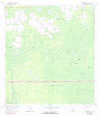Catherine Island 1962 topographic map thumbnail