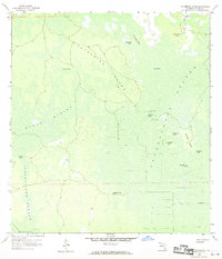 Catherine Island 1958 topographic map thumbnail