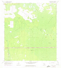 Catherine Island 1958 topographic map thumbnail