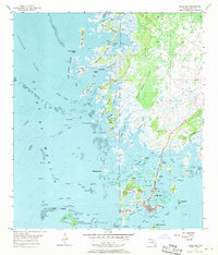 Cedar Key 1955 topographic map thumbnail