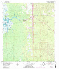 Chassahowitzka 1954 topographic map thumbnail