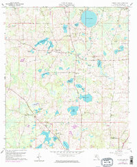 Cherry Lake 1960 topographic map preview