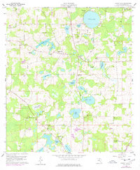 Cherry Lake 1960 topographic map thumbnail