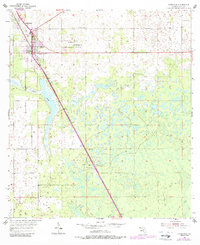 Chiefland 1954 topographic map thumbnail
