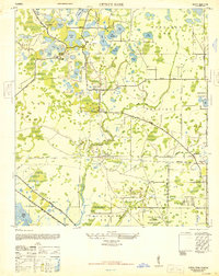 Citrus Park 1947 topographic map thumbnail