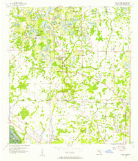 Citrus Park 1956 topographic map thumbnail