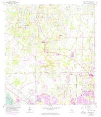 Citrus Park 1956 topographic map thumbnail