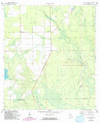 Codys Corner 1972 topographic map thumbnail