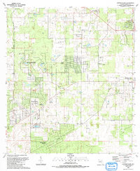 Cotton Plant 1991 topographic map thumbnail
