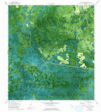 Cow Bone Island 1974 topographic map thumbnail
