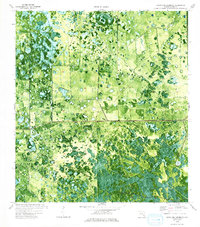 Crows Nest Hammock 1974 topographic map thumbnail