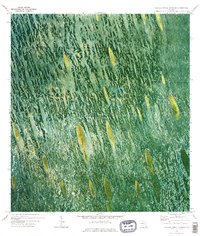 Custard Apple Hammock 1973 topographic map thumbnail