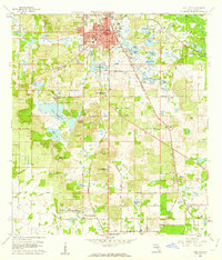 Dade City 1960 topographic map thumbnail