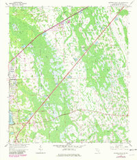 Daytona Beach SW 1962 topographic map thumbnail