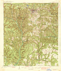 De Funiak Springs 1938 topographic map thumbnail