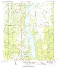 Dead Lake 1945 topographic map thumbnail