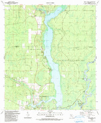 Dead Lakes 1990 topographic map thumbnail