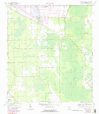 Dinner Island 1970 topographic map thumbnail
