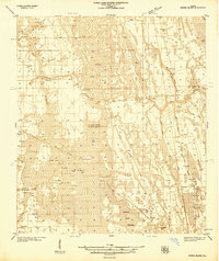 Dinner Island 1937 topographic map thumbnail