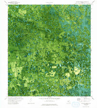 Doctors Hammock 1974 topographic map thumbnail