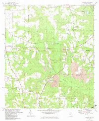 Dogtown 1982 topographic map thumbnail