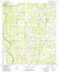 Dowling Park 1954 topographic map thumbnail