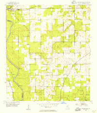 Dowling Park 1954 topographic map thumbnail