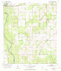 Dowling Park 1954 topographic map thumbnail
