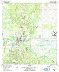 Dunnellon 1991 topographic map thumbnail