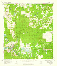 Dunnellon 1954 topographic map thumbnail