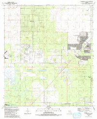 Dunnellon SE 1991 topographic map thumbnail