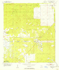 Dunnellon SE 1954 topographic map thumbnail