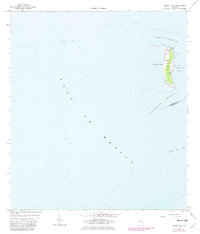 Egmont Key 1964 topographic map thumbnail