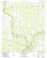 Ellaville 1959 topographic map thumbnail