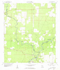 Ellaville 1959 topographic map thumbnail