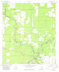 Ellaville 1959 topographic map preview