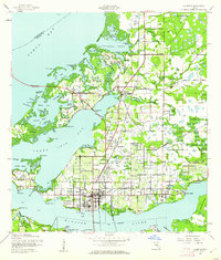 Ellenton topographic map thumbnail