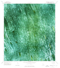 Everglades 4 SW topographic map thumbnail