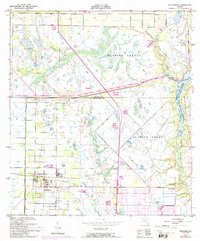Fellsmere 1949 topographic map thumbnail
