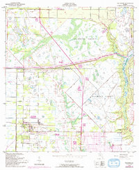 Fellsmere 1949 topographic map thumbnail