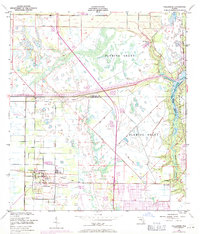 Fellsmere 1949 topographic map thumbnail