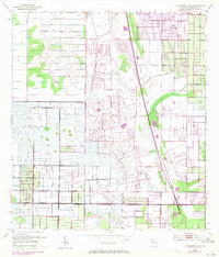 Fellsmere 4 NE 1953 topographic map thumbnail