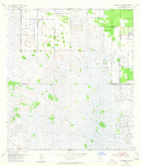 Fellsmere 4 SE 1953 topographic map thumbnail