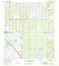 Fellsmere 4 SE 1953 topographic map thumbnail