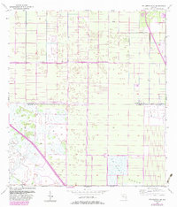Fellsmere 4 SE 1953 topographic map thumbnail