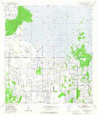 Fellsmere 4 SW 1953 topographic map thumbnail
