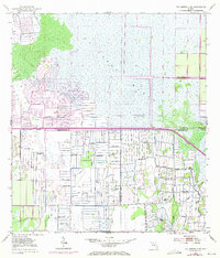 Fellsmere 4 SW 1953 topographic map thumbnail