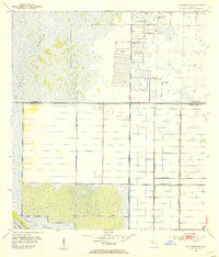 Fellsmere SW 1953 topographic map thumbnail