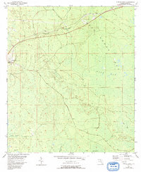 Fenholloway 1954 topographic map thumbnail