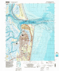 Fernandina Beach 1994 topographic map thumbnail